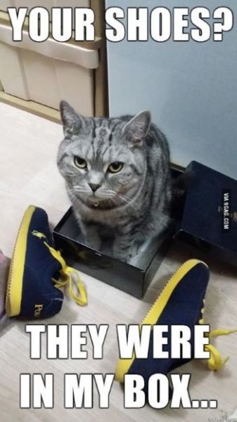 Your shoes - my box.jpg