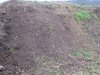 IMG_2469 Large soil.jpg