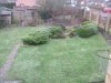 BackGarden2011 001.JPG