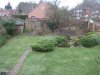 BackGardenJan2011 001.JPG