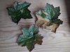 pl Heuchera leaves small.jpg