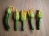 courgettes-orig.jpg