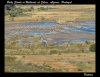 Storks on Wetlands, 31 Aug 12.JPG