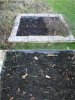 Feb raised bed_Panorama 2019.jpg