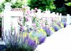 stone-flower-beds-ideas-raised-designs-summer-bed-uk-for-front-yard-design-bedrooms-winning.jpg