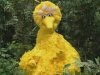 Big bird.jpg