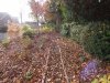 November Garden 075.jpg