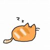 Cat zzz.jpeg