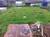 my allotment.jpg