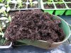 Growmoor-compost-2.jpg