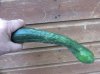 cucumber.jpg