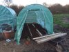 SECOND POLYTUNNEL.jpg