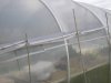 POLYTUNNEL GUTTER 1.JPG