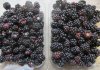 blackberries 19 july 2014.jpg