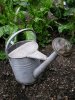 watering can june 12.JPG