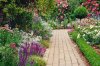 Lovely-summer-garden-63355.jpg