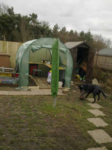 front view of our poly tunnel