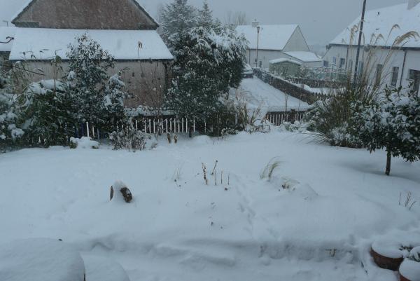 front garden in winter