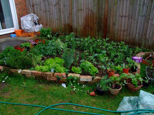 Veg garden