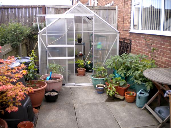 Little greenhouse