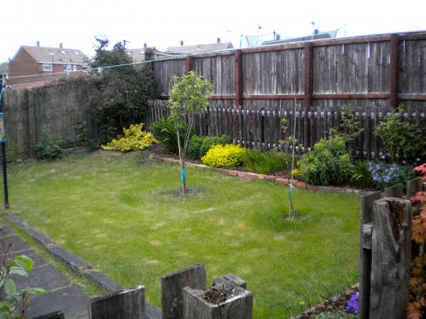 Small back garden