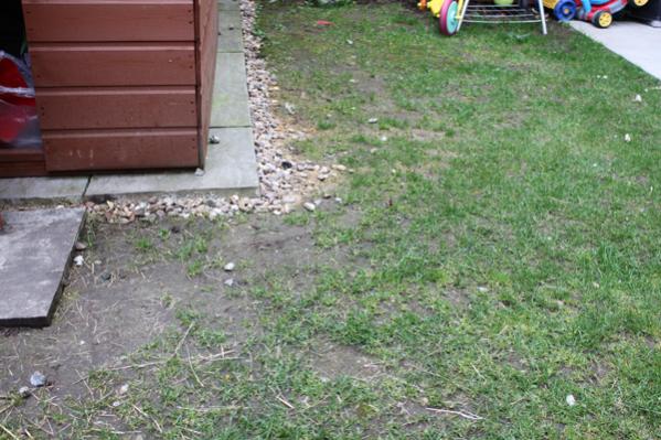 Patchey grass, uneven and muddy, often with standing water