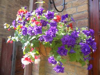 Hanging basket at the front.