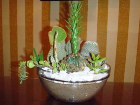 cacti dish garden 2