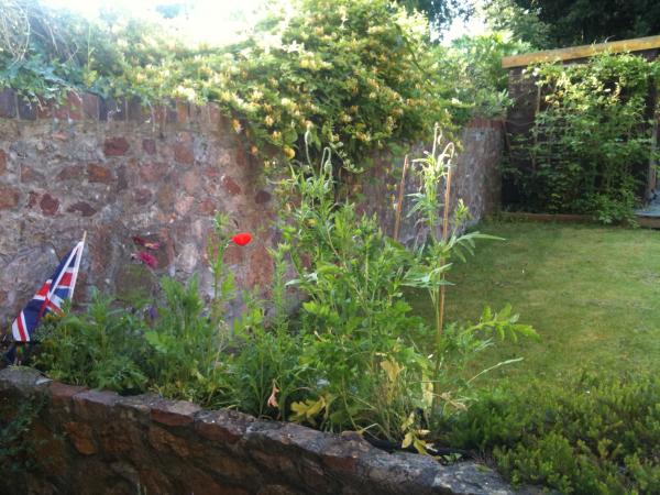 The arrival of the poppies.