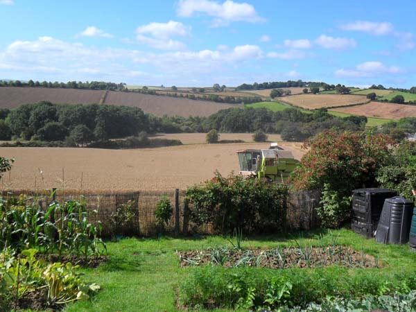 Another tractor at the bottom of our garden!