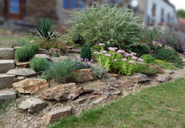 Rockery (September 2011)