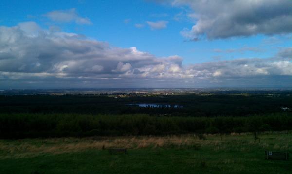 Delamere forest