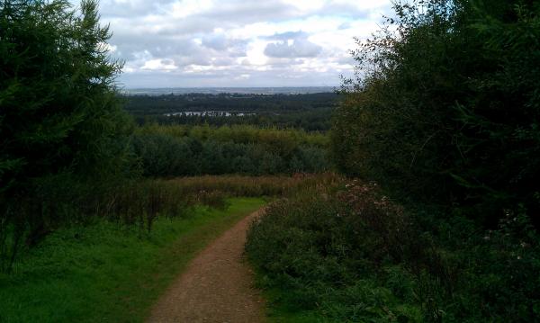 Delamere