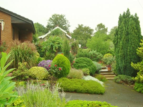 DSC02032 (640x480) View of front garden from drive.