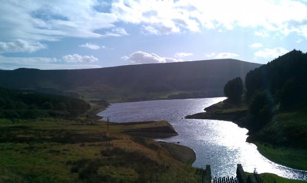 Dove stone res.