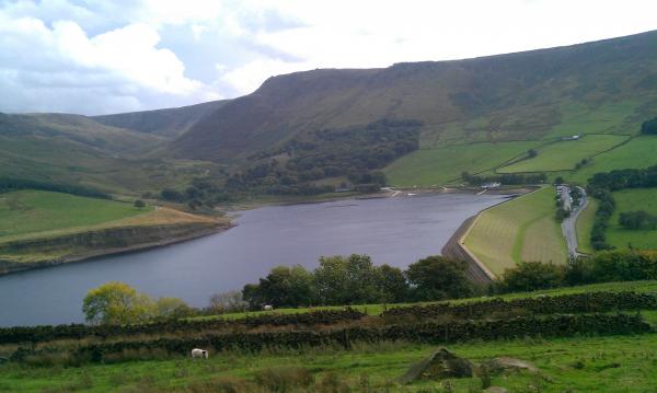 Dovestone res