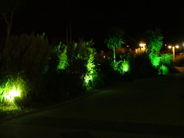 Garden Light night