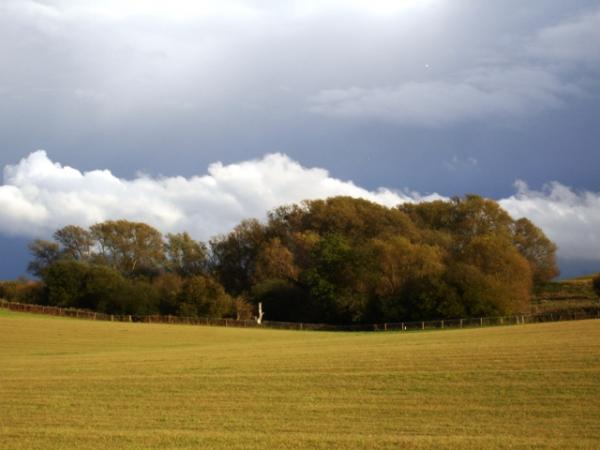 Autumnal sky