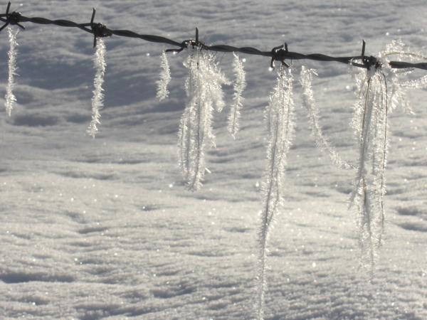 Horse Hair Icicles