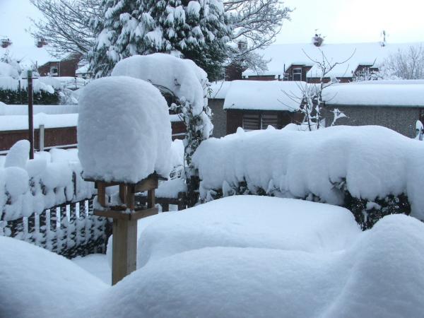 Look at the depth of the snow on the bird table!