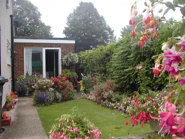 Part of my old fuchsia garden,have since moved house