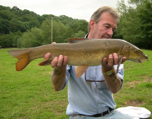 a Barbel from the river Teme