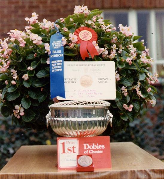 Fuchsias were not Show Ready so entered this begonia semperflorens
and judges nominated best in...