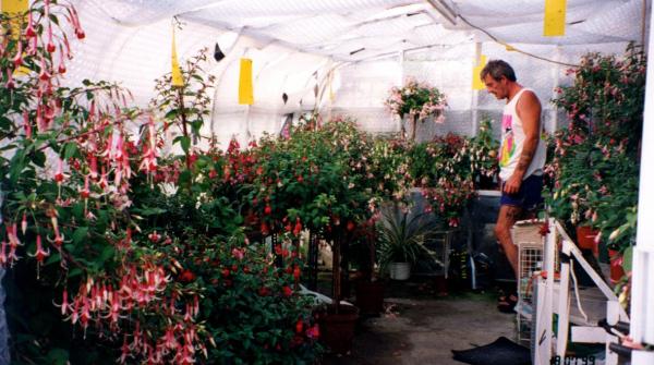 greenhouse 2 Not much room here either