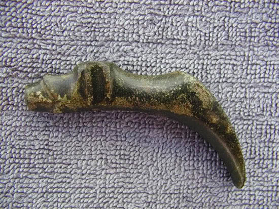 14thCentury Bronze dogs head wine pourer