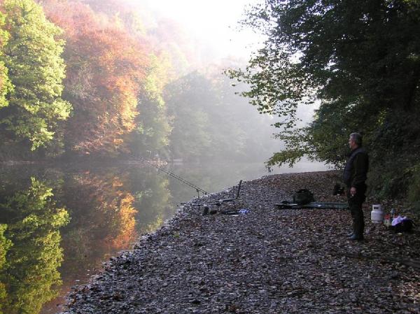 biblins in autumn. The River Wye at symonds Yat