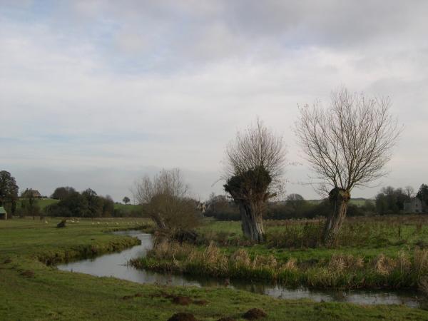 River Windrush at Burford