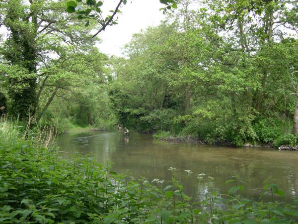 River Kennet in Berkshire