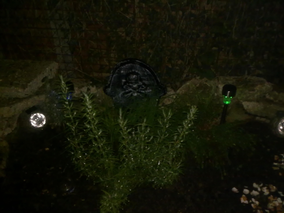 My Herb Garden at night...  Can't wait to start adding to it again this year...