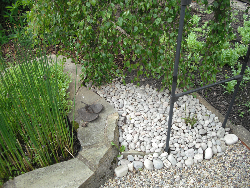 Another view of my footpath as it abuts the pond